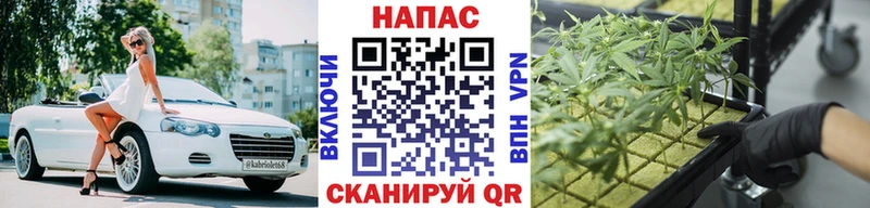 Хочу наркоту Кудымкар СК  Мефедрон  Псилоцибиновые грибы  Кокаин  Канабис 