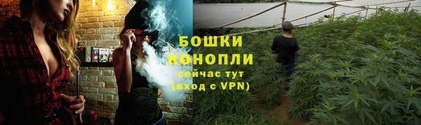 сатива Белоозёрский
