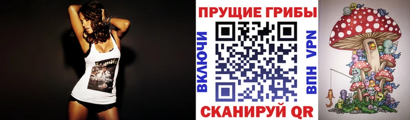 darknet какой сайт  hydra ссылка  Кудымкар  купить закладку  Галлюциногенные грибы Psilocybe 
